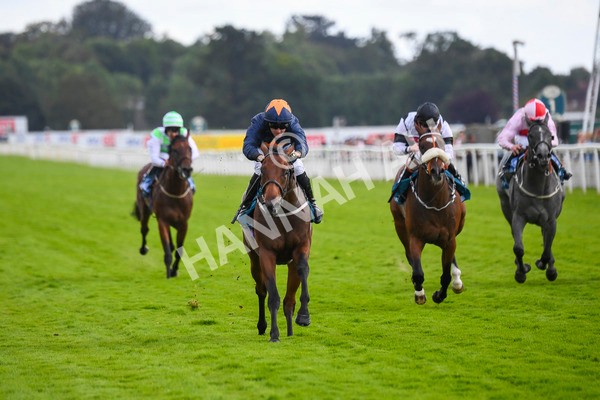 290723-Race 4-Blue Prince-0676 - Race 4 4.00pm 50K ITV7 Weekly Jackpot Nursery Handicap