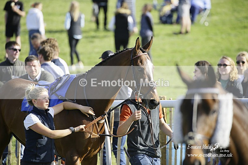 PtP 180422 317 - Old Berkshire PtP Lockinge 18/04/22