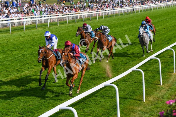 160623-Race 7-Diamond Bay-0778 - Race 7 5.21pm Constant Security Handicap