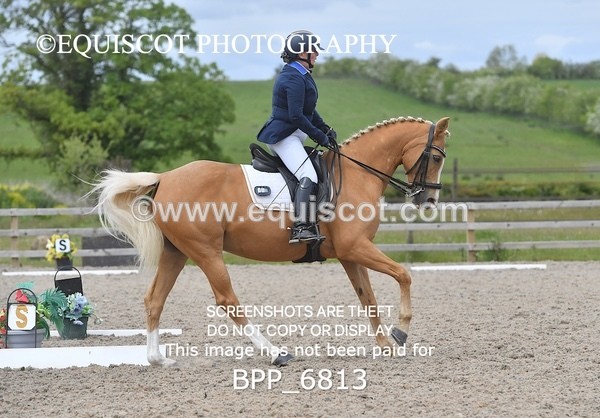 BPP_6813 - 3 D HARRISON