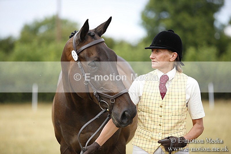 _C7A9446 - BVRC Sow 2018 Ring 2