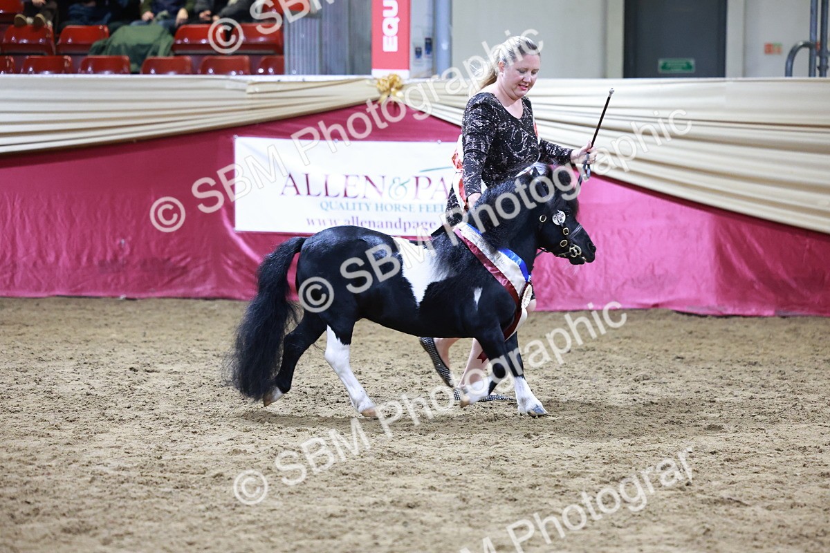 SBM_20877 - Class L - Coloured Champ