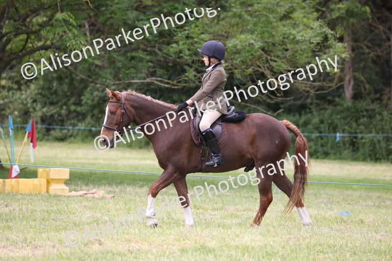 20260614-3161 - Class 22 - Open Working Hunter