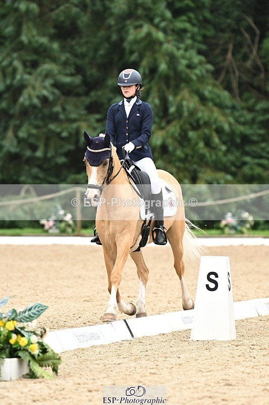 240811-122617-05830 - 301-Sophia.Longworth-Don.Deluxe