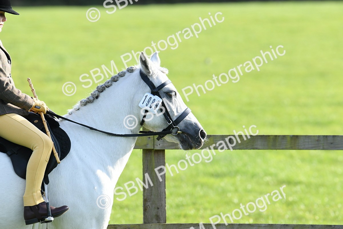 SBM_52362 - S22 - 1st Ridden Show & Show Hunter Pony