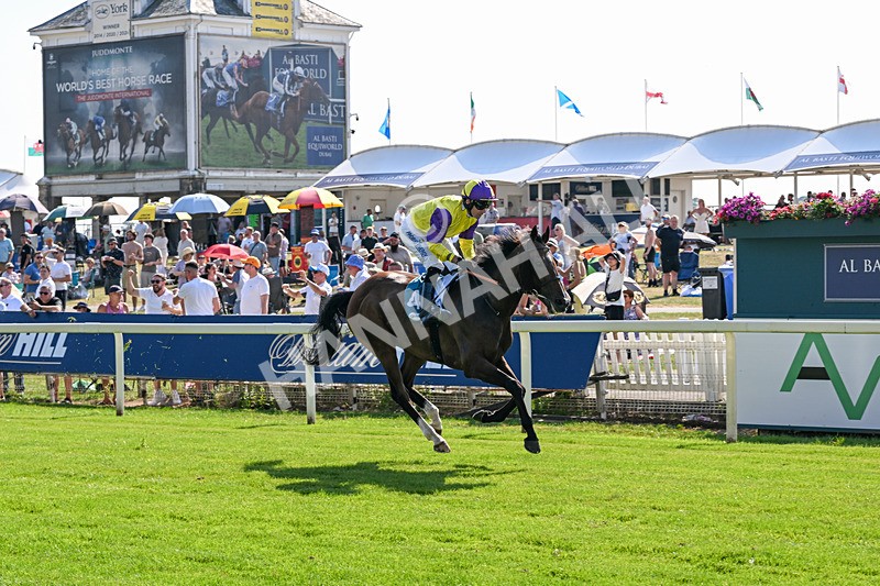 100726-Race 5-Dark Moon Rising-0449 - Race 5 16.30pm Azets Handicap