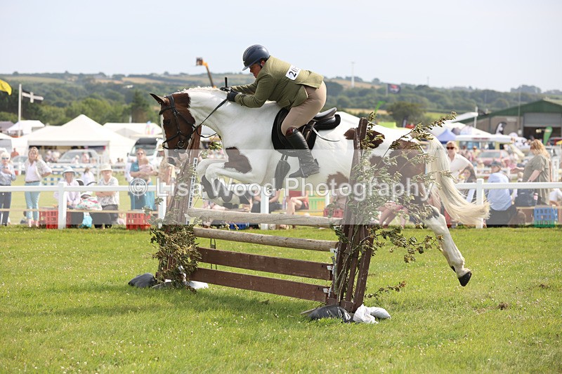 JPP_4051 - Class 24: Working Hunter 90cm