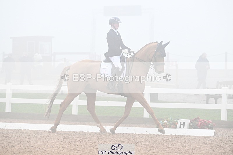 240217A-131130-02767 - 271-Tom.Carter-Rubin.Regal