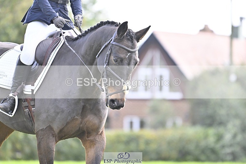 241025-132426-09445 - 377-Bethany.Hull-CARRICK.DIAMOND.OLIVER