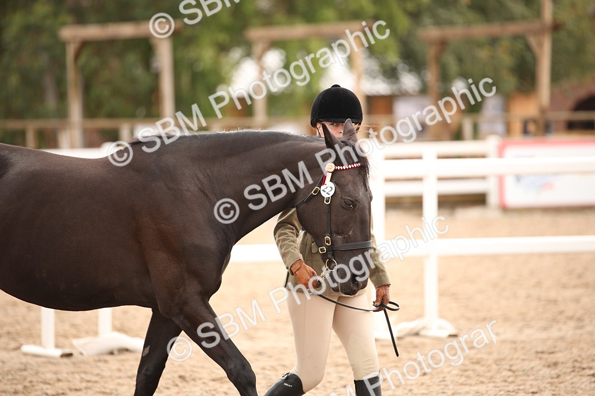 SBM_21516 - Class 706 - IH  Veteran