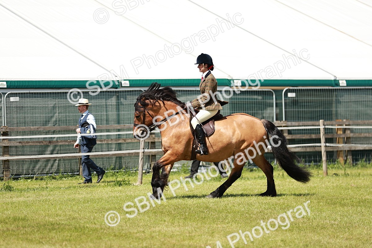 SBM_07073 - Class 26-30 - Mountain and Moorland Ridden