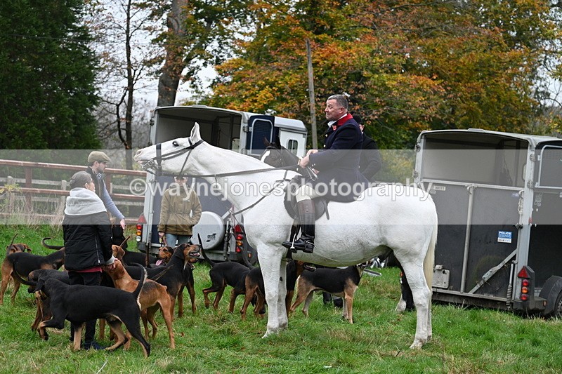 WJ7_7431 - The Meet