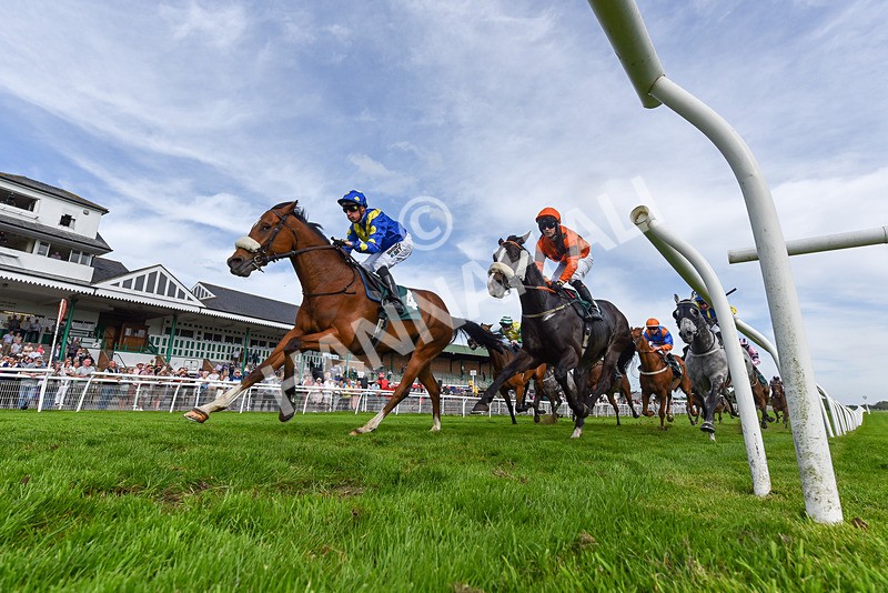 130524-Race 7-Hail Sezer-5495 - Race 7