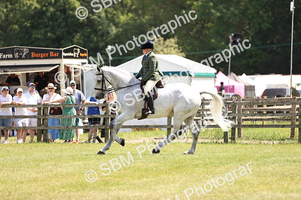 SBM_16153 - Class 79-80 - LIHS BSHA Rising Star Ridden Hunter