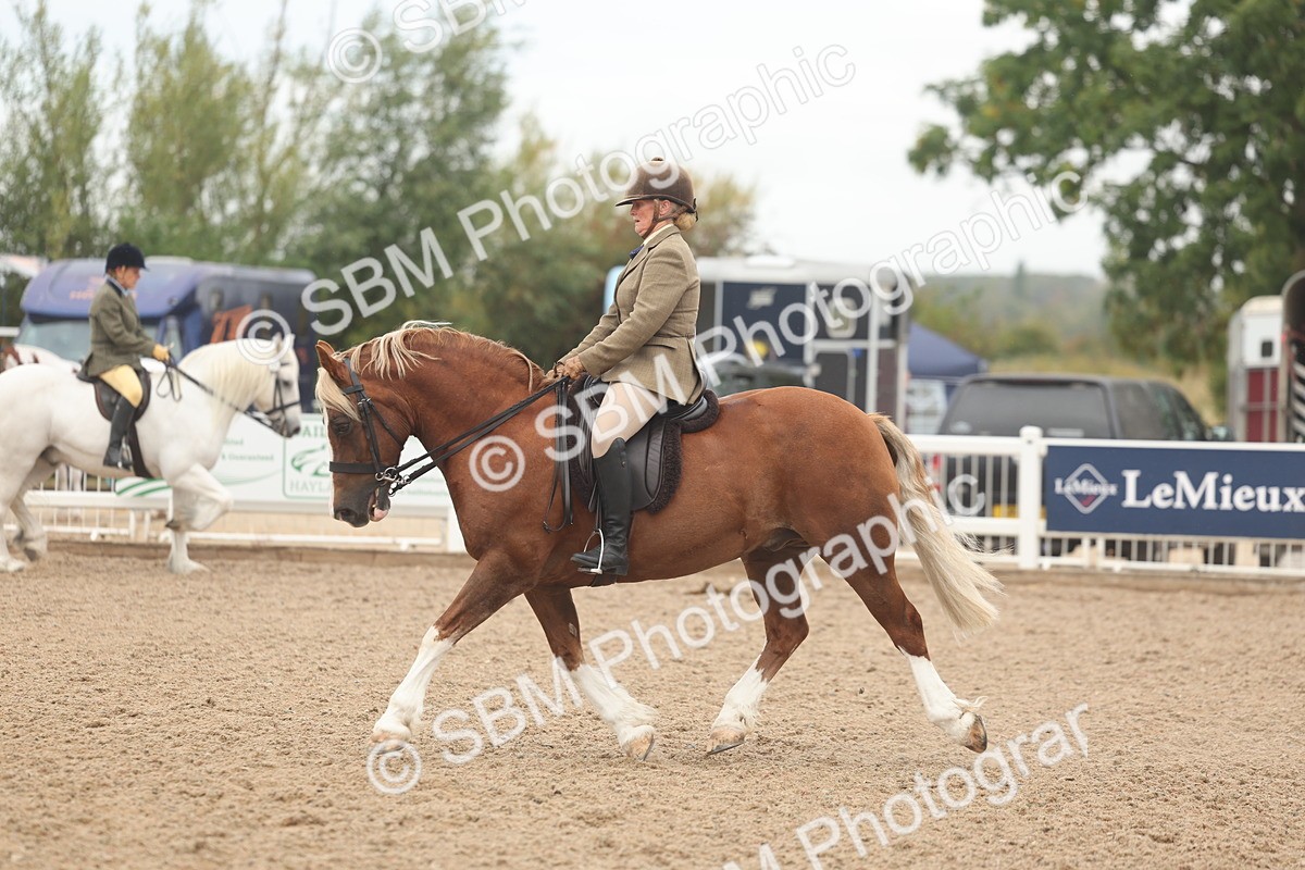 SBM_01915 - Class 14 - Ridden M&M Wildcard