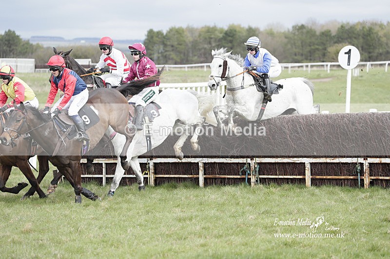 PtP 260323 0388 - New Forest Hounds Point-to-Point Larkhill 26/03/23