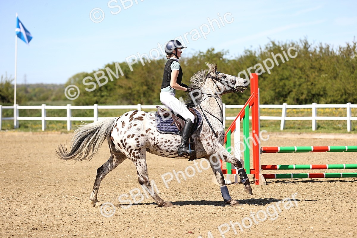 SBM_002622 - 80cm