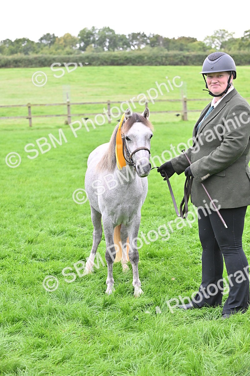 SBM_61084 - S48 - Mountain & Moorland In Hand Small Breeds