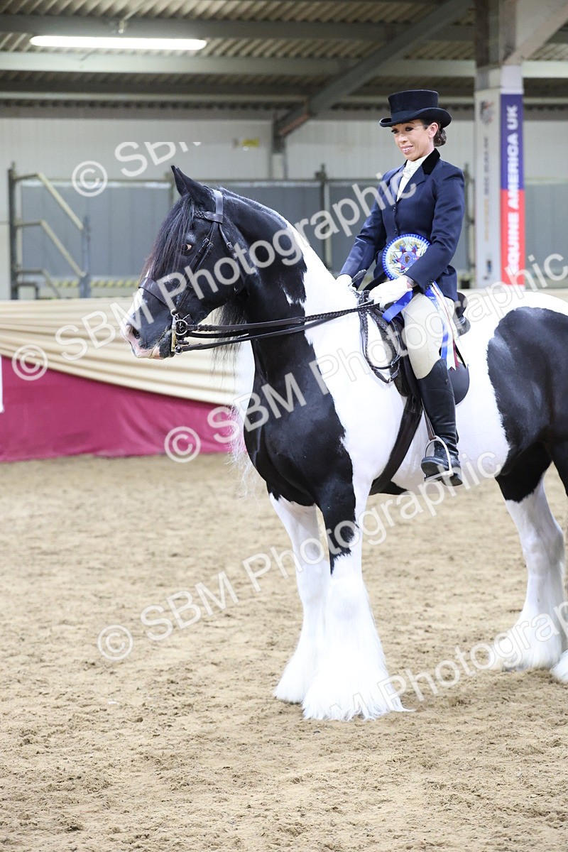 SBM_20194 - Class C - Novalty Champ