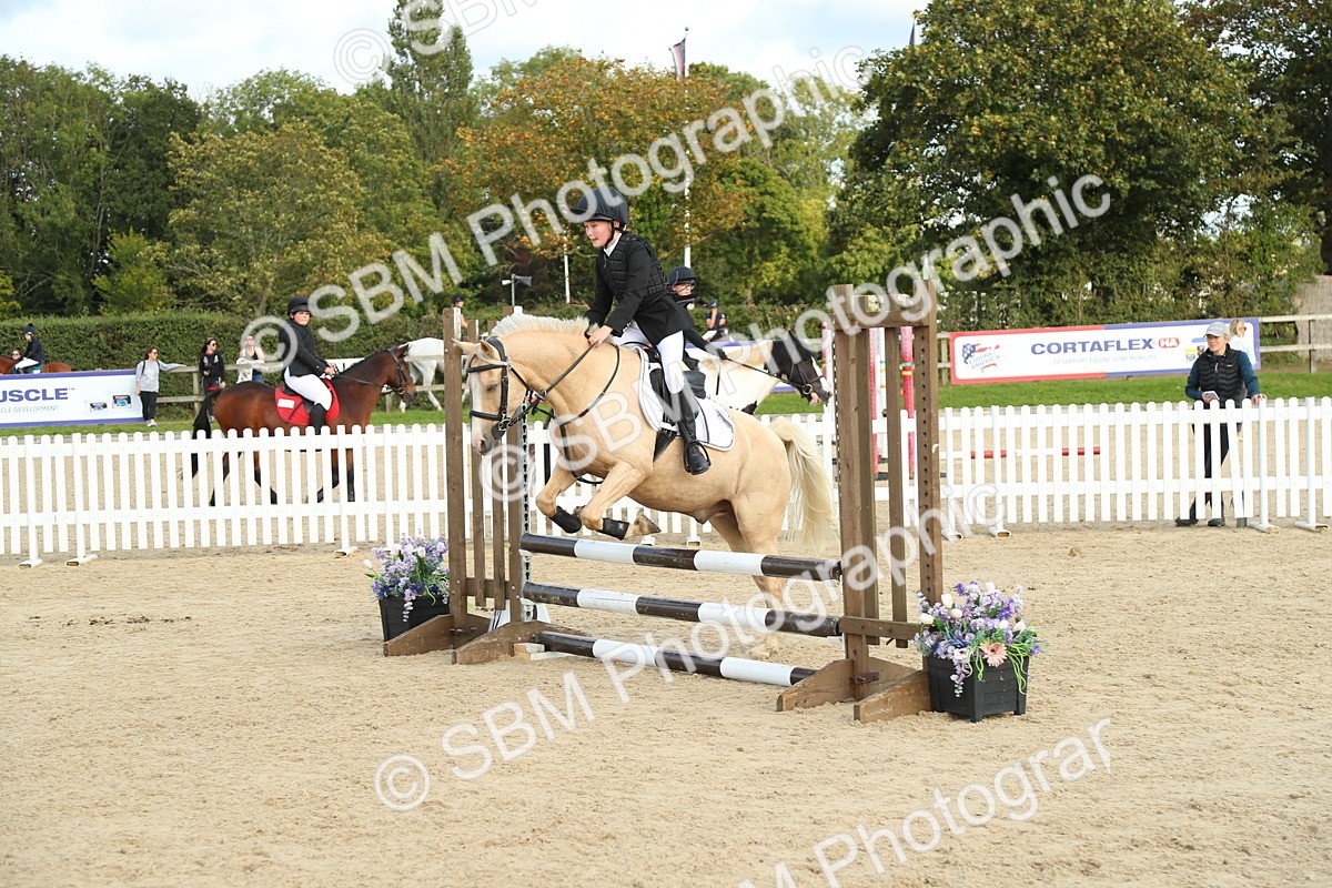 SBM_51686 - J7 - Junior Pony 60cm Championship