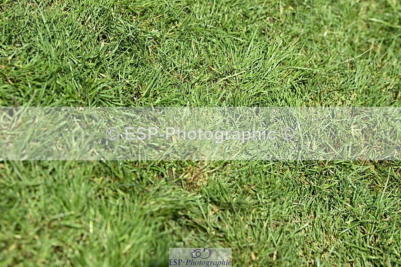 250831A-150151-10771 - Cls 38 5 Year Old Final