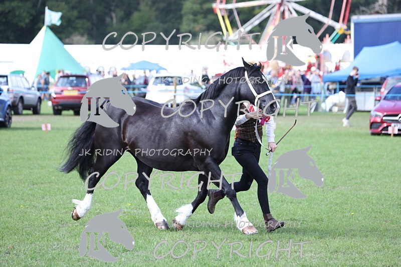 APP_3021 - Class 10a/b M&M in hand