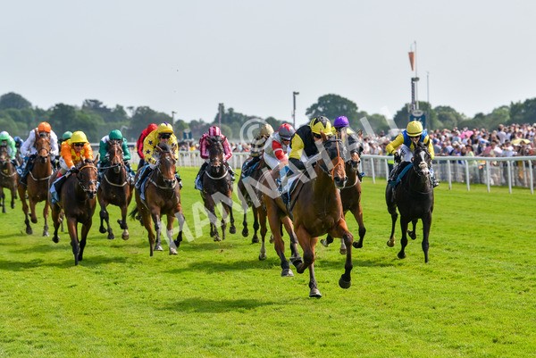 270523-Race 5-Starnberg-4494 - Race 5 3.50pm William Hill Extra Place Races Daily Handicap