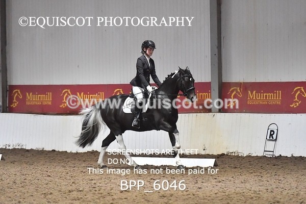 BPP_6046 - ELEM TEST 4