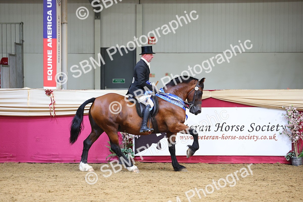 SBM_24967 - Supreme Final - Ridden Champion