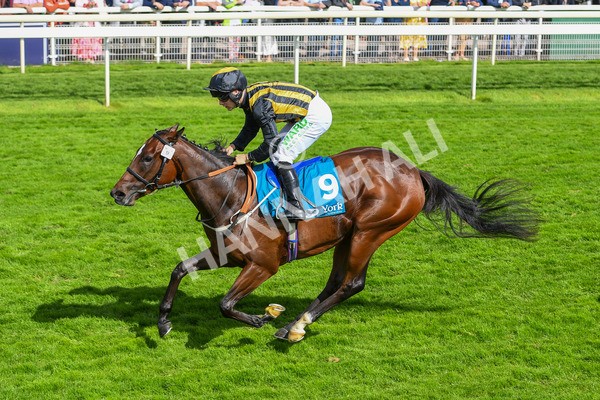 150723-Race 5-Specific Times-0548 - Race 5 4.20pm John Smith's Nursery Handicap