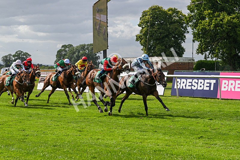 030824-Race 4-Cerulean Bay-1731 - Race 4