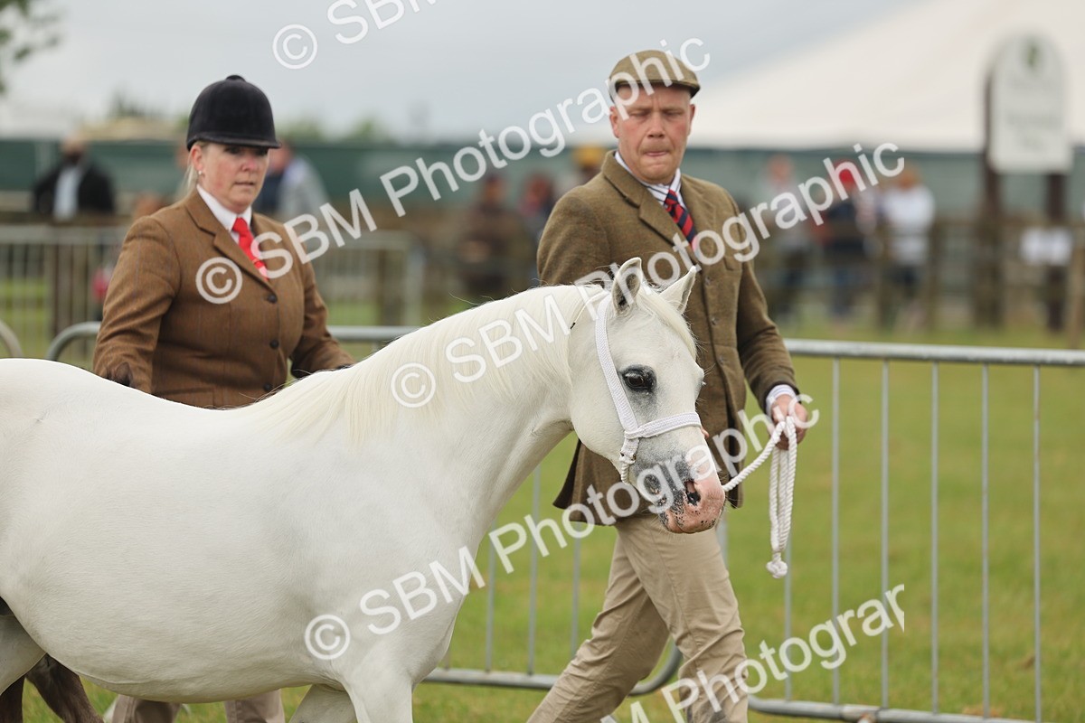 SBM_01446 - Class 50-57 - M&M Welsh Pony In Hand
