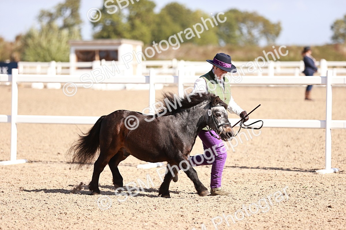 SBM_22768 - Class 705 - IH Combination 65+