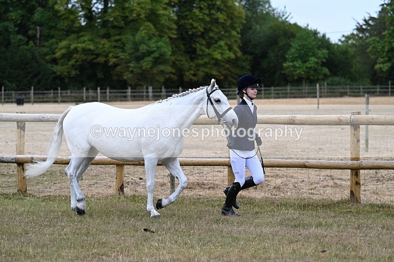 WJ7_8807 - Class 4a Prettiest Mare 14.2hh and over