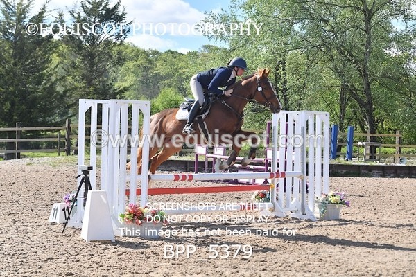 BPP_5379 - CLASS 22 SUN Club/ Unaffiliated 80cms Open