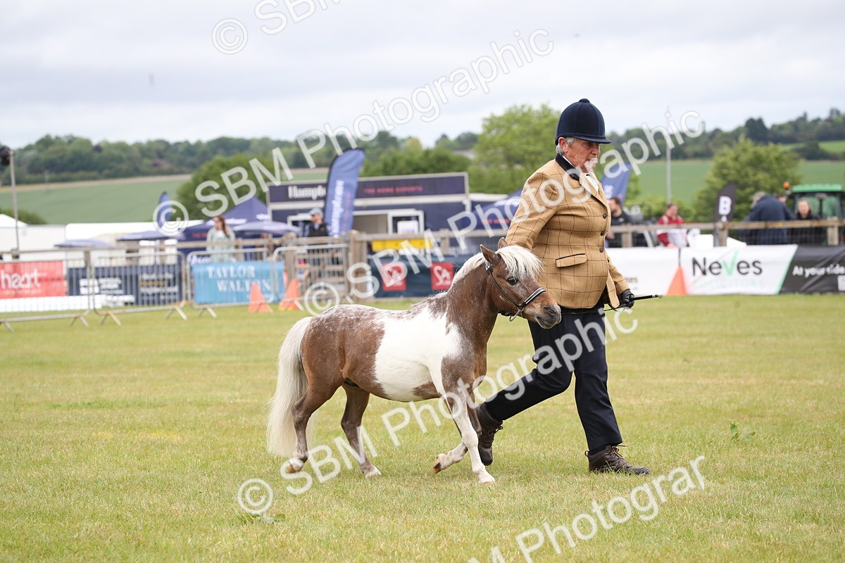 SBM_03799 - Class 23-25 - British Miniature Horse of the Year
