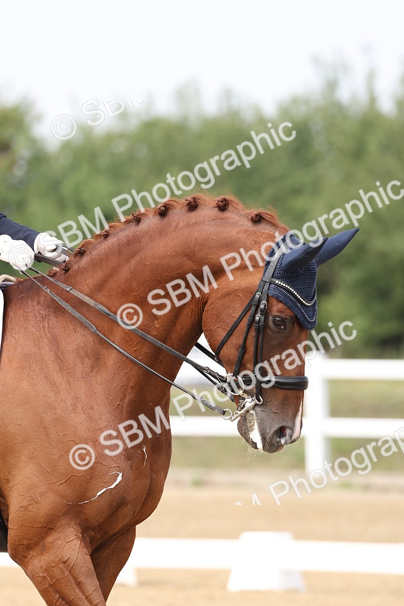 SBM_007244 - Class 9 - FEI INT I - 13.37-14.33