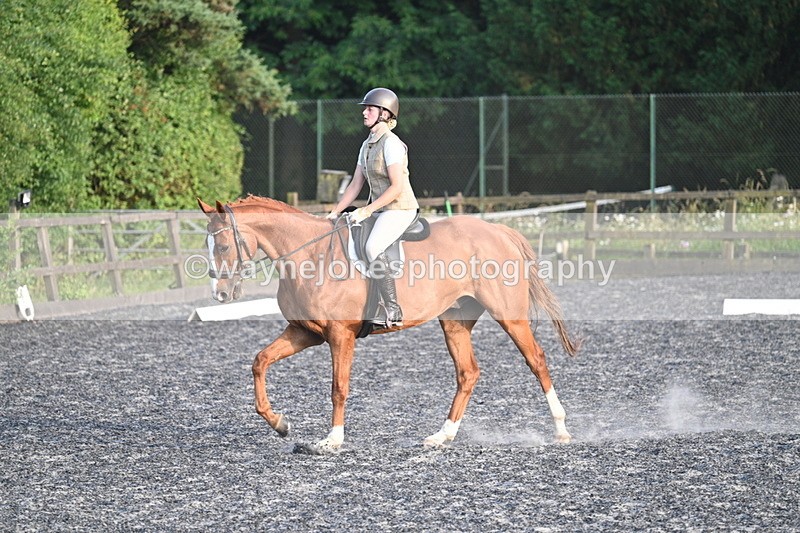 WJ7_0323 - Time 19:38 to 20:00