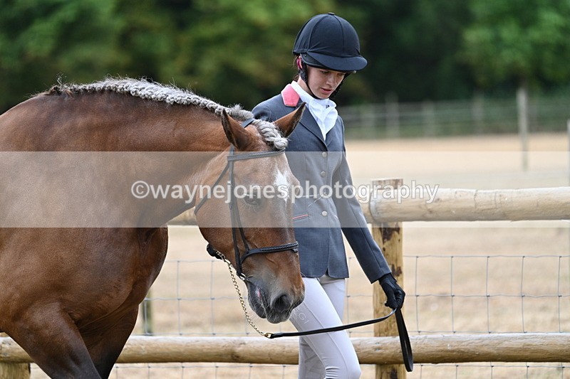 WJ7_8901 - Class 4a Prettiest Mare 14.2hh and over