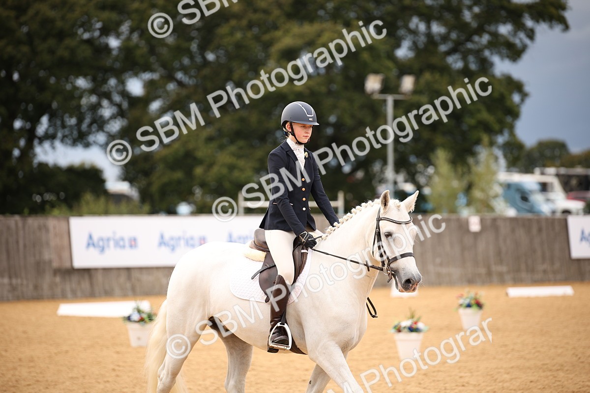 SBM_12242 - D3 Small  Tour Championship Intro A