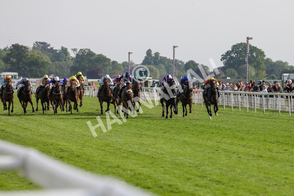 170524-Race 7-Jubilee Walk-2313 - Race 7 5.20pm Irish Thoroughbred Marketing Handicap