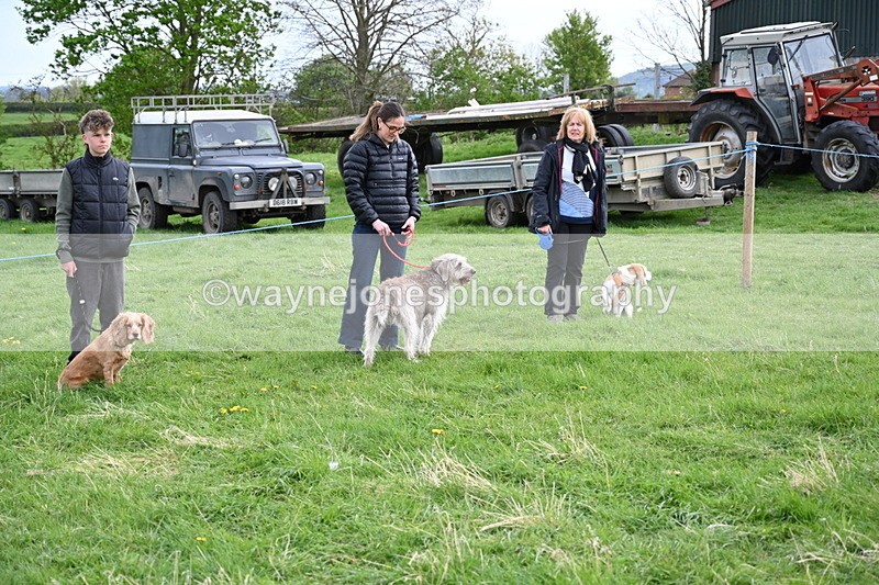 WJ6_8027 - Class 2 Best Pedigree