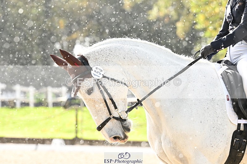 251023A-143638-05559 - B-153-Charlotte.Franck-Steier