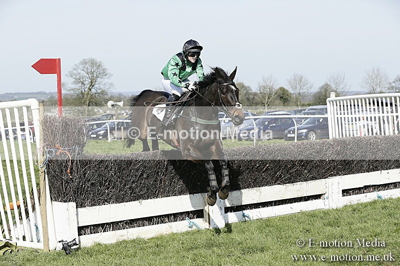 PtP 260317 297 - Mendip Farmers Point-to-Point Ston Easton 26/03/17