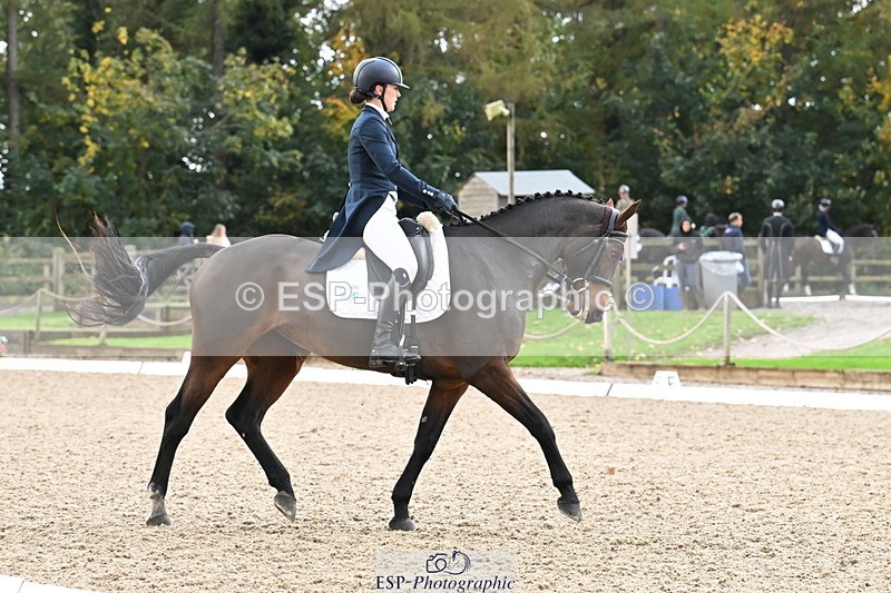 251023A-104606-01536 - B-131-Gemma.Gurvidi