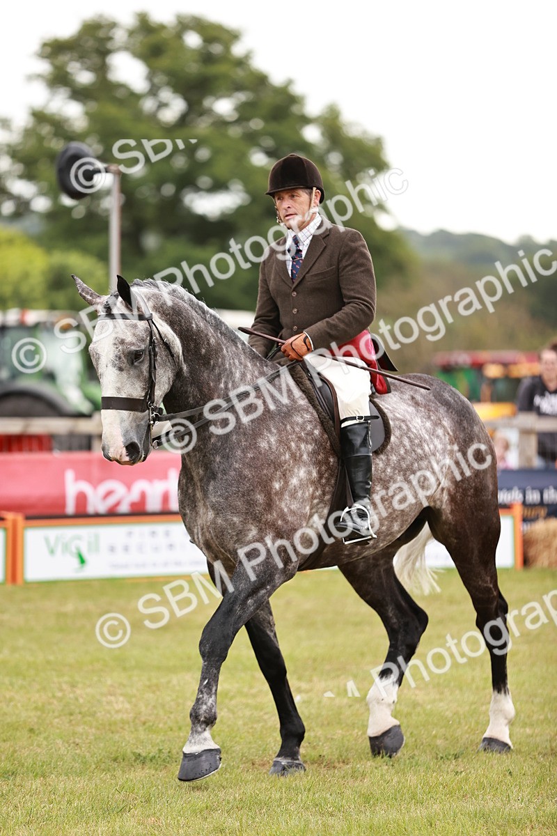 SBM_10923 - Class 81-84 - RIHS Ridden hunters Inc Ladies Hunter