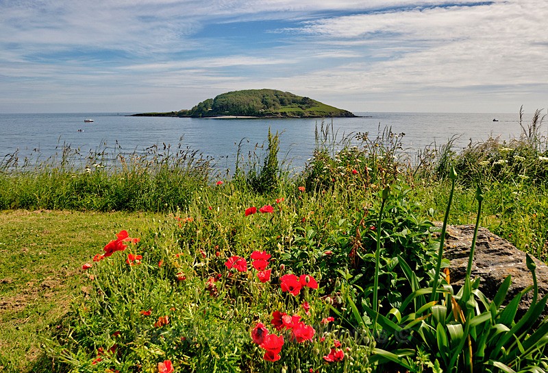 Looe island poppy view - Looe (See separate gallery for Looe Lugger photos)