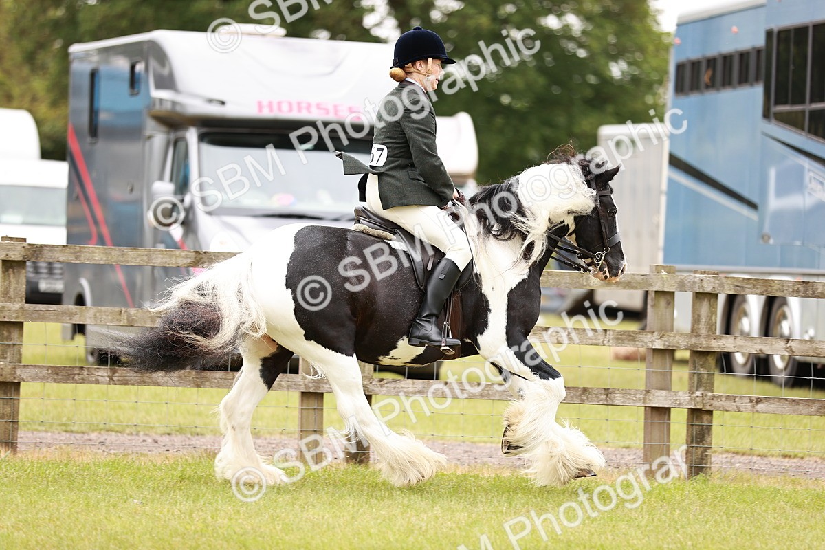 SBM_06180 - Class 39-41 TGCA In Hand and Ridden