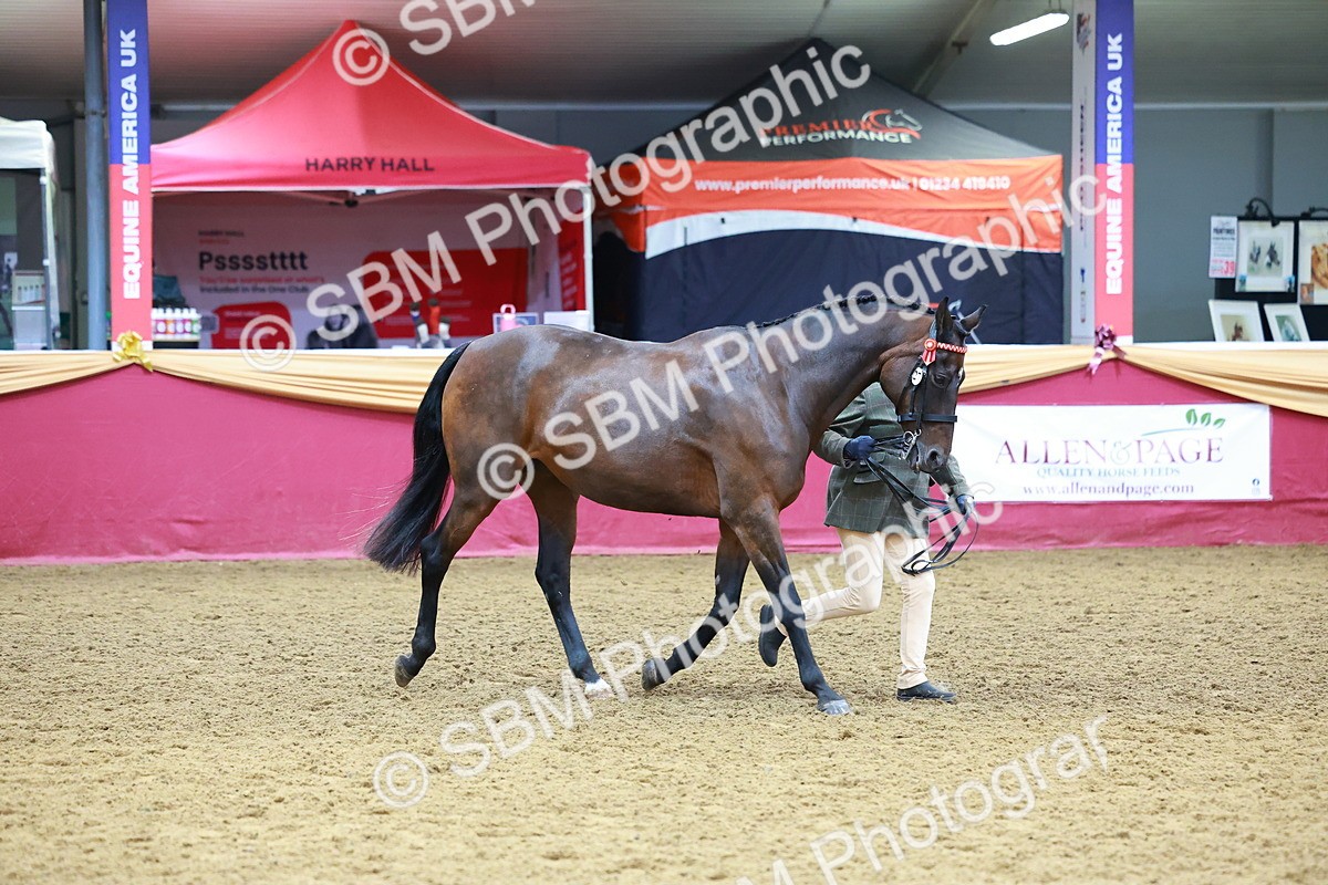 SBM_16175