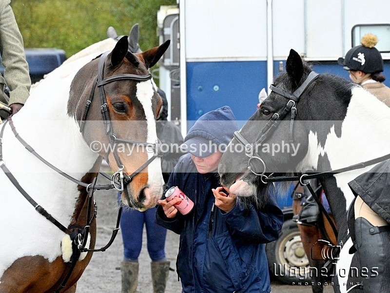 WJ7_7885 - Berks & Bucks Blackcroft Farm 20-10-24